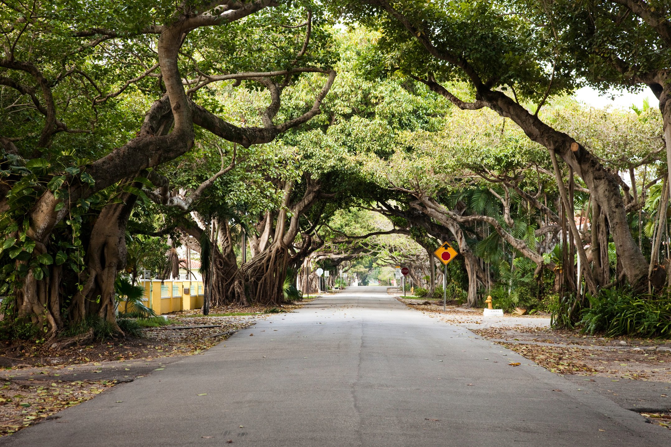 Miami Coral Gables street